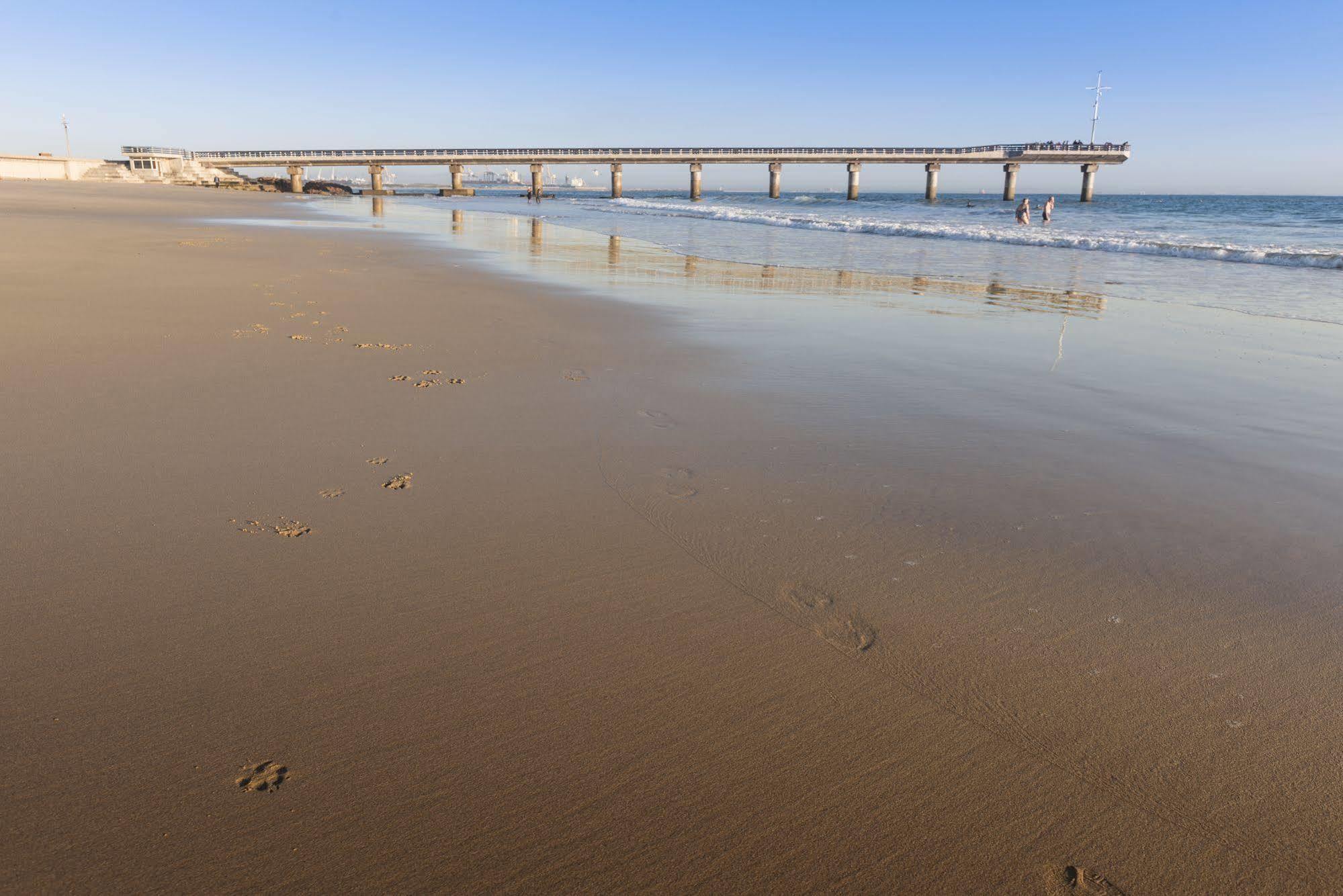 Beachwalk Bed And Breakfast - #Solar Energy #No Loadshedding Port Elizabeth Eksteriør bilde